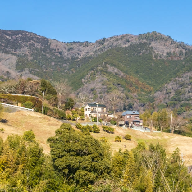 Camp Republic 湯河原 万葉公園