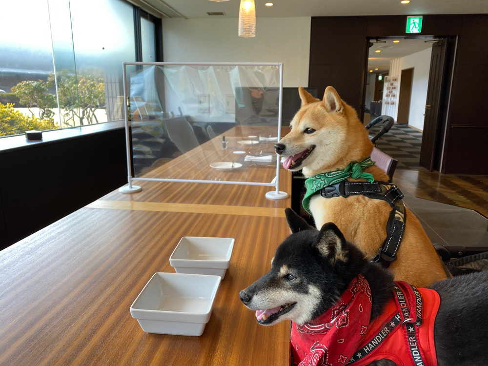 コレドール湯河原 Dog&Resort内レストラン「ルシアン」