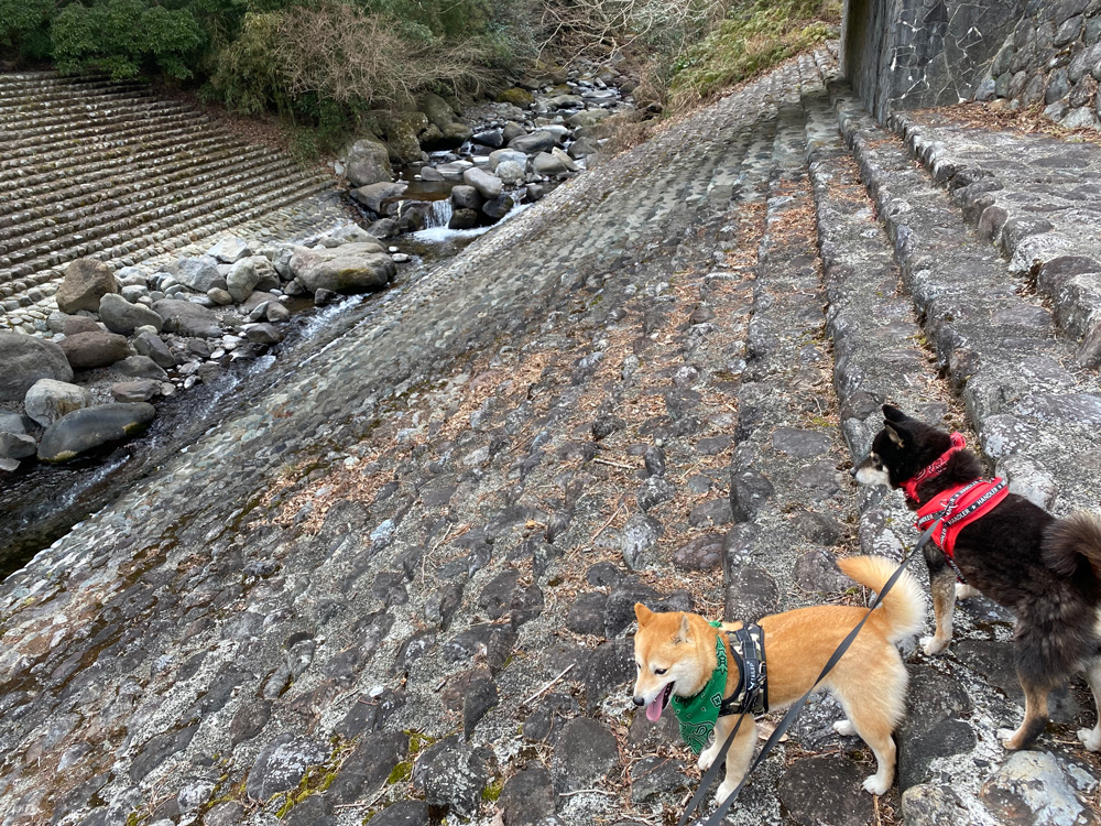 幕⼭公園（湯河原梅林）