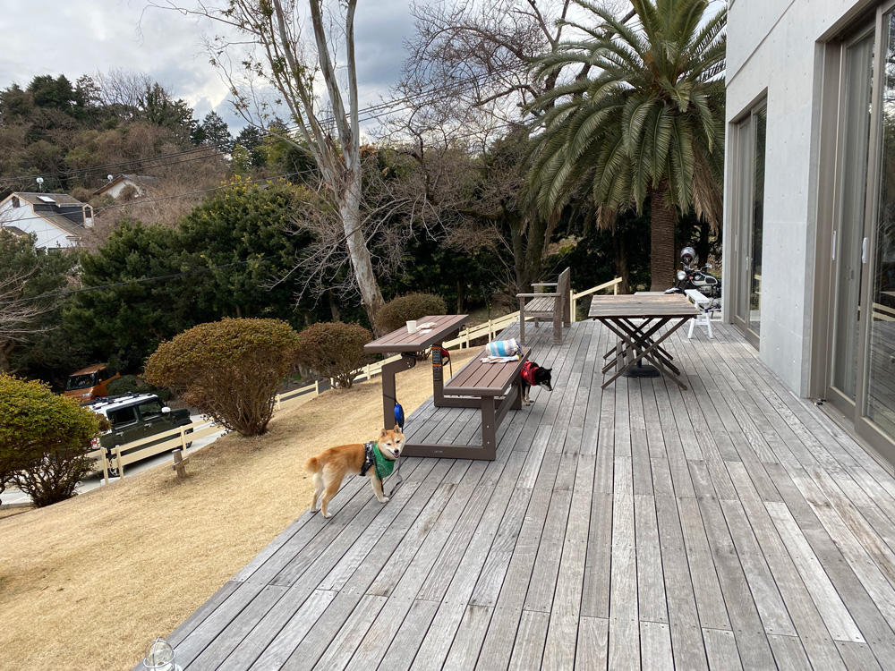 ラピーニャ・コーヒー