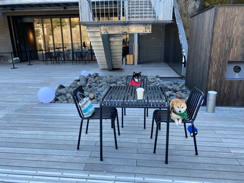 湯河原惣湯 ⽞関テラス