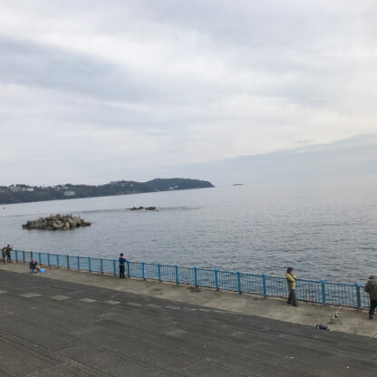 湯河原海浜公園
