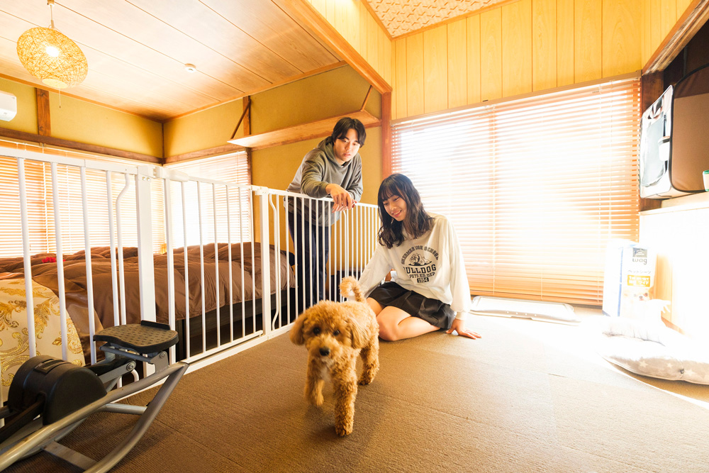 犬 エクササイズルーム